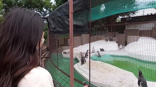 人妻上司午休酒店偷情