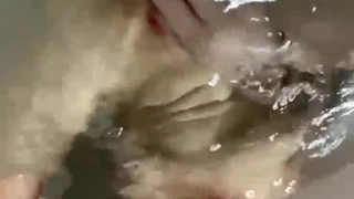 肤白貌美，极品舞蹈老师兼职，一字马展示，骚逼狂干爽歪歪